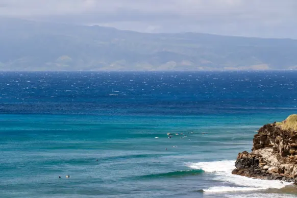 Casino Two Fat Ladies Bingo Assistance